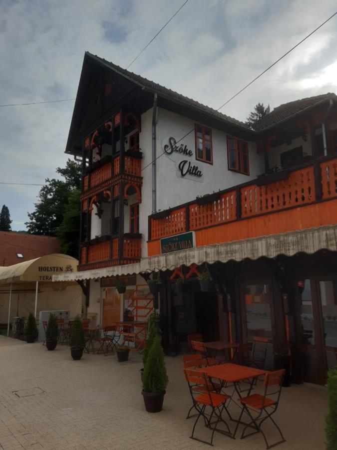 Vila Szoke Совата Екстериор снимка