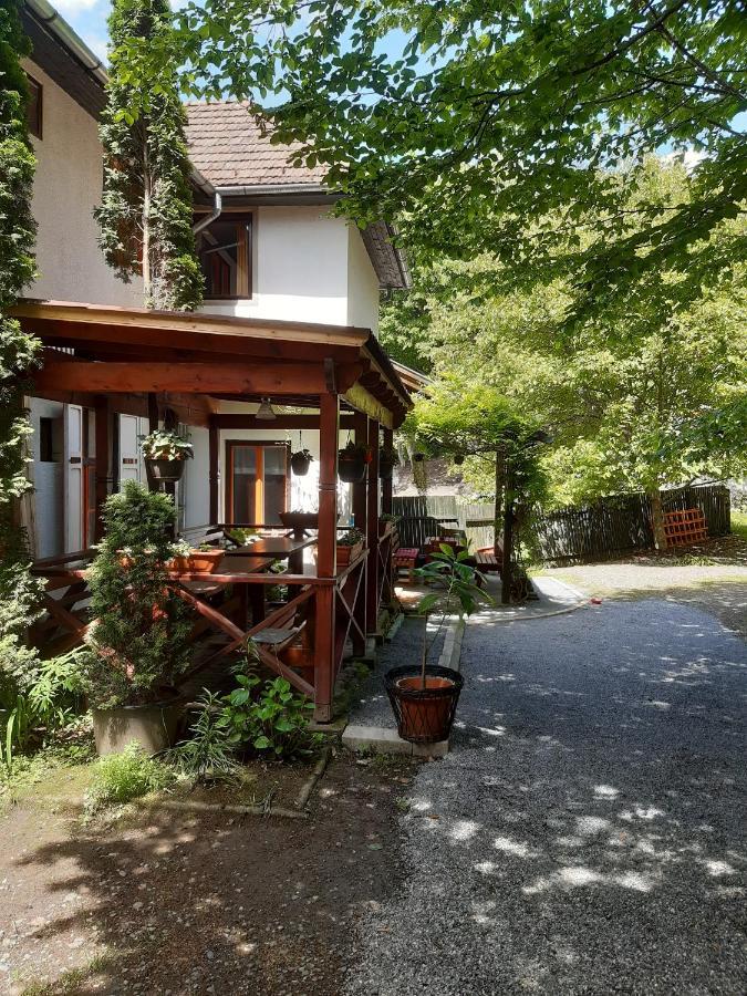 Vila Szoke Совата Екстериор снимка